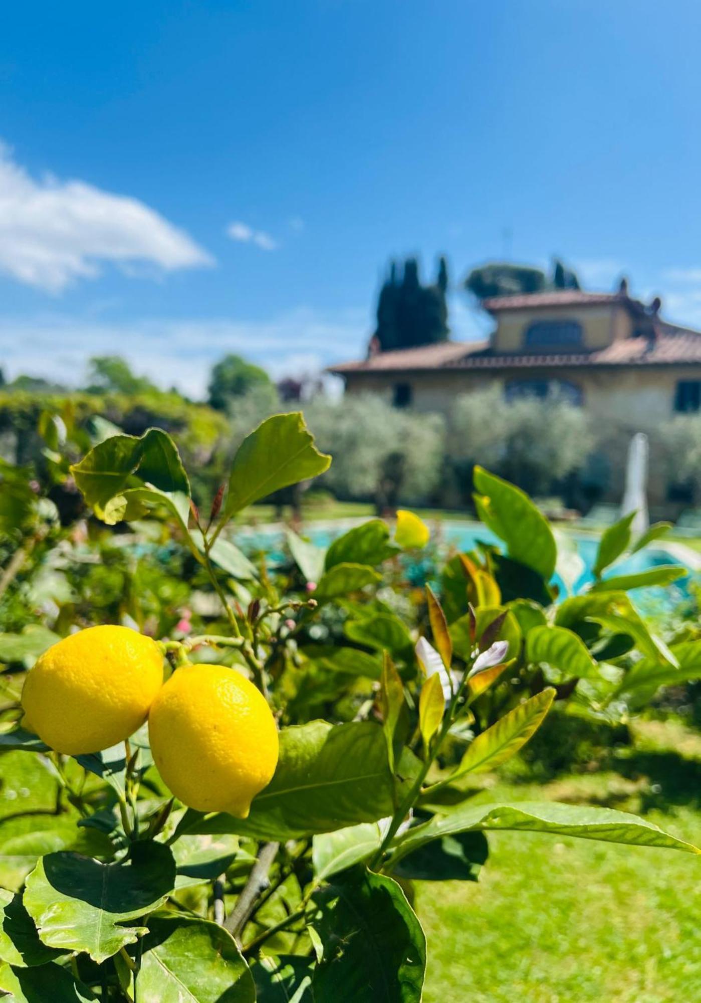 Villa Giotto Florence Pozzolatico المظهر الخارجي الصورة